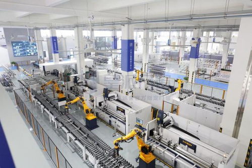 屋顶变身发电站 皇派门窗智能工厂以光伏之力，迈向低碳未来