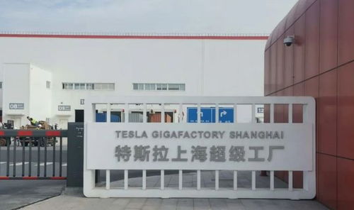 马斯克中国行触动印度神经 印政界怒批“不可原谅”